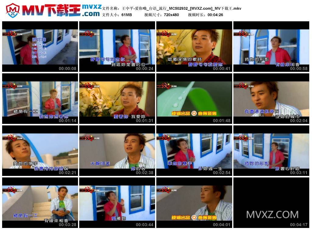 王中平-爱你呦_台语_流行_MC502932